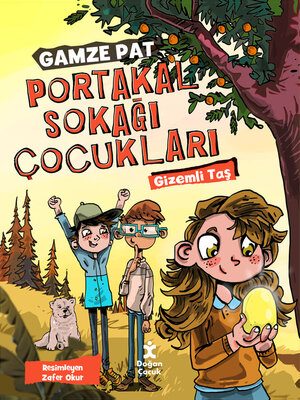 cover image of Portakal Sokağı Çocukları--Gizemli Taş
